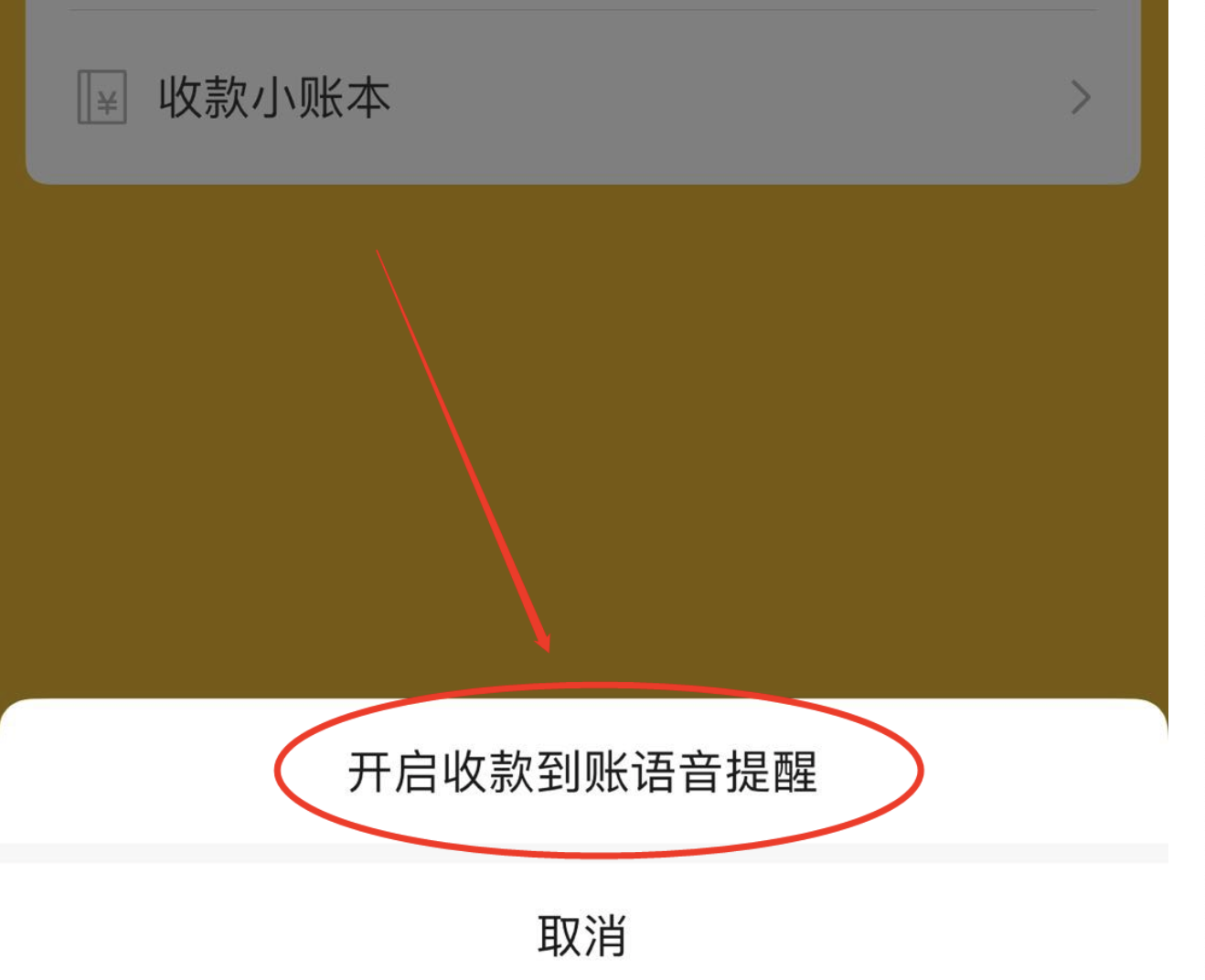 收款码怎么弄语音提示